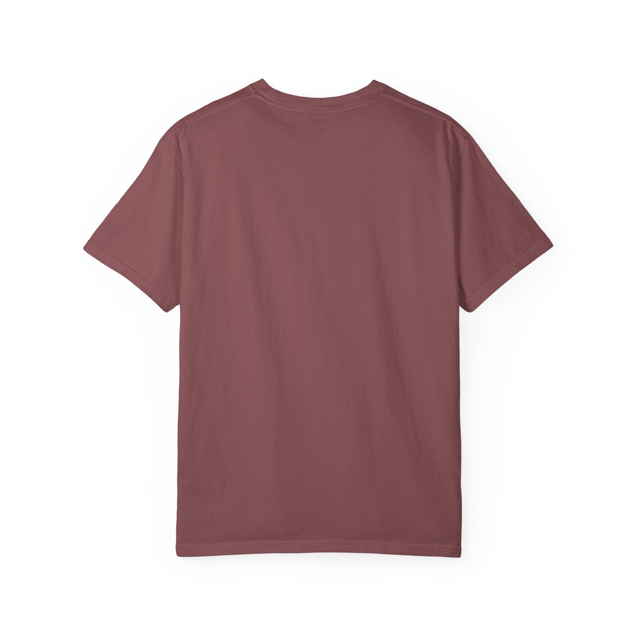 Funny Statement T-Shirt for Casual Vibes, "What did i tell you"