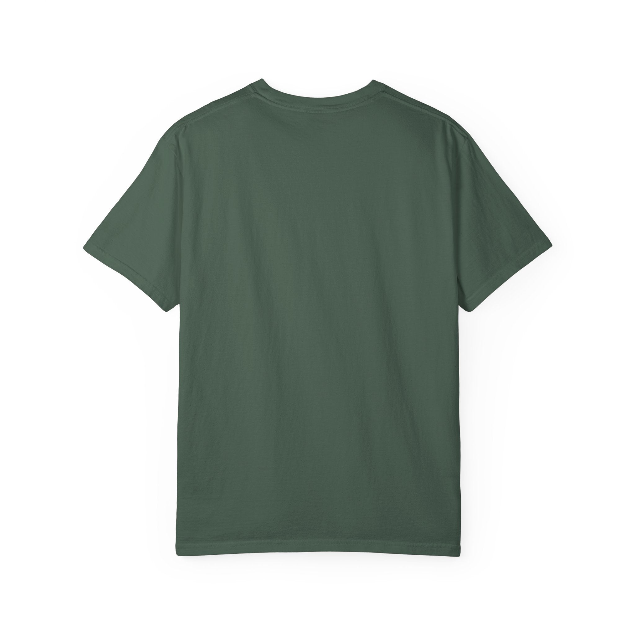 Funny Statement T-Shirt for Casual Vibes, "What did i tell you"