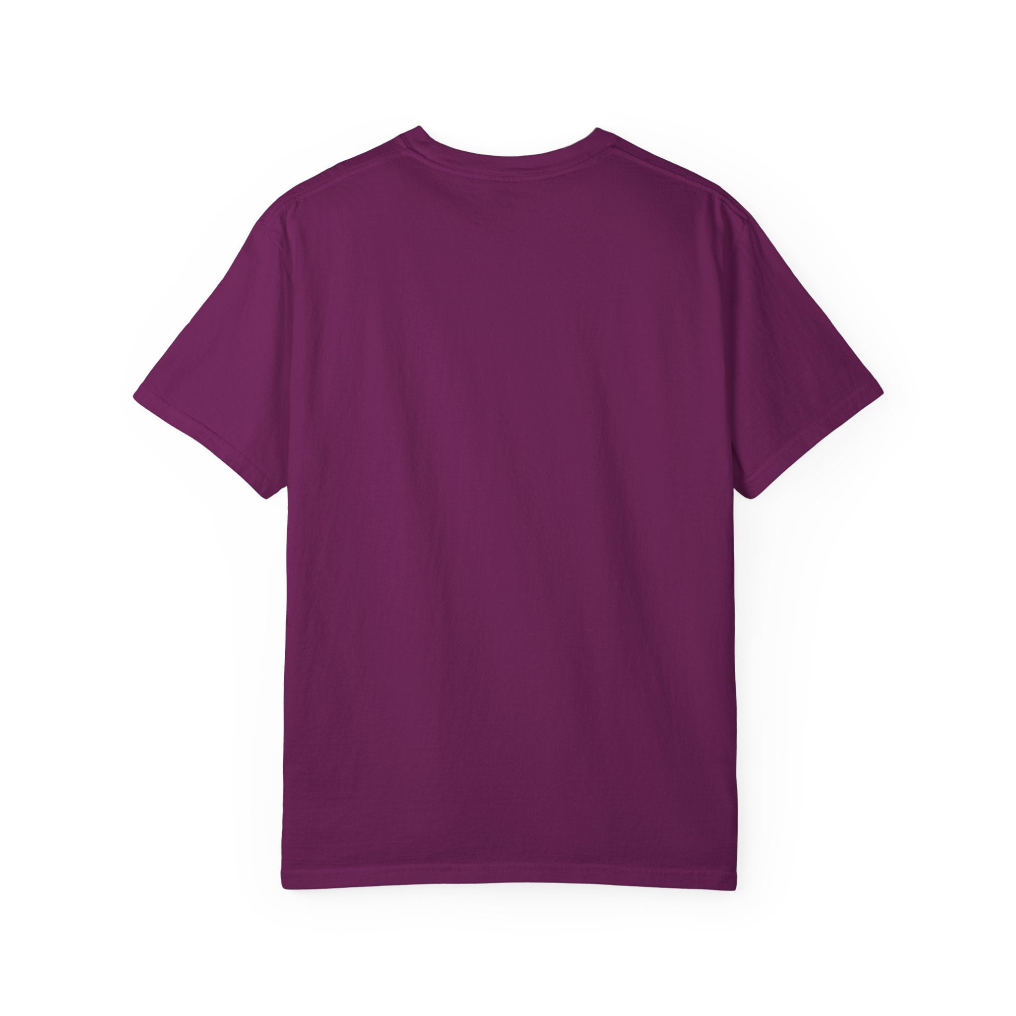 Adventure Awaits Unisex T-Shirt, Casual Wear, "You bought the ticket"