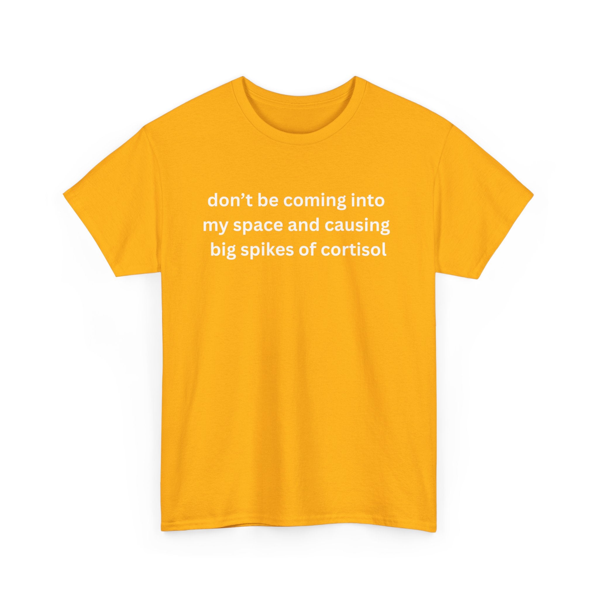 Casual Unisex Heavy Cotton Tee - "Don't be coming into my space"