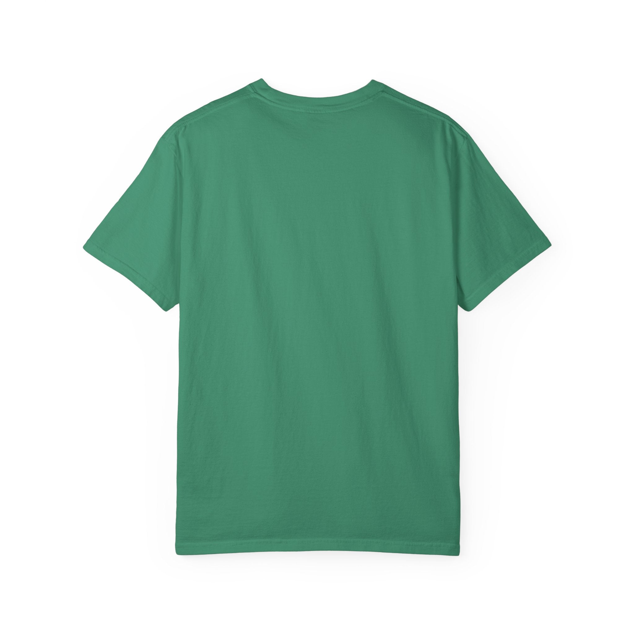 Funny Statement T-Shirt for Casual Vibes, "What did i tell you"