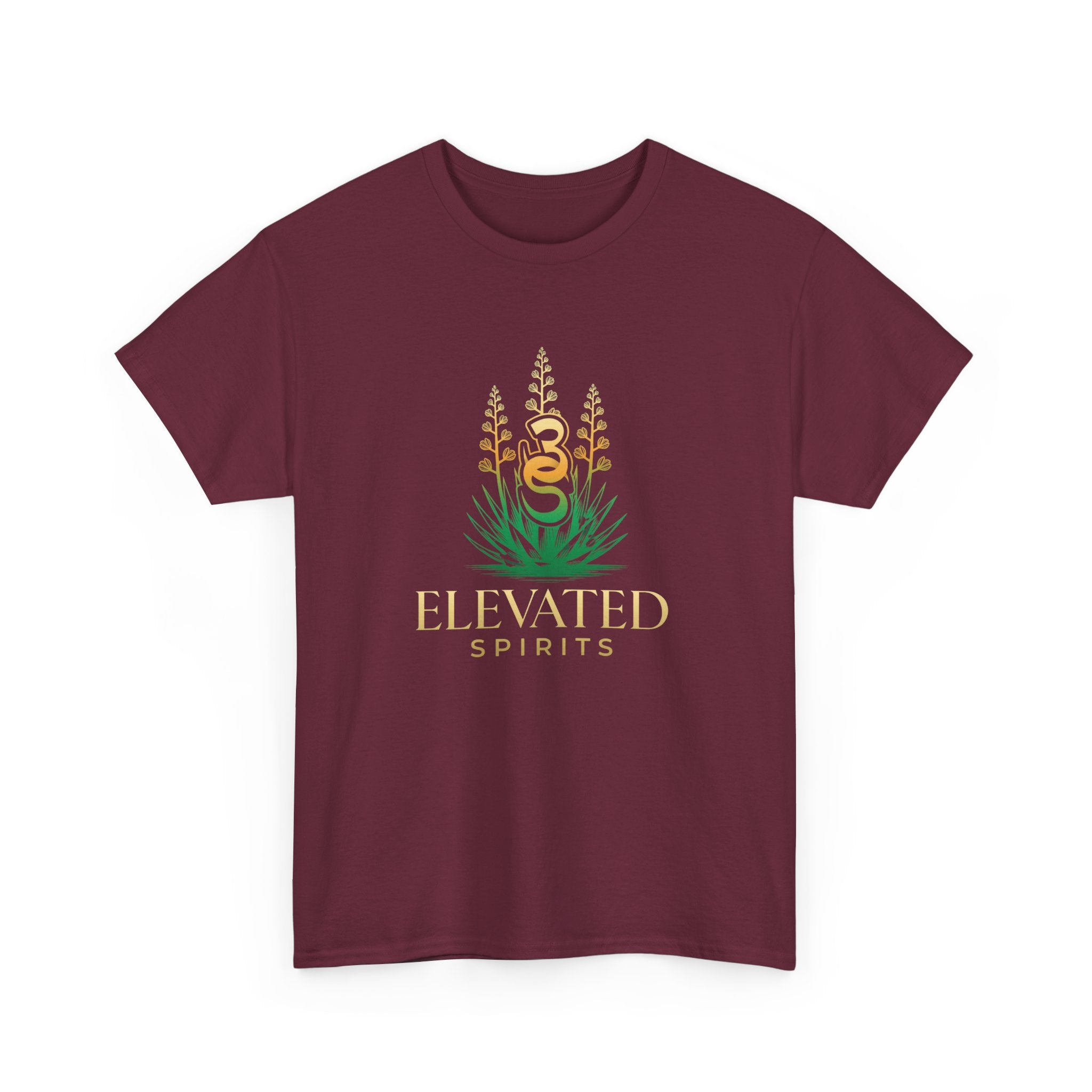 Empowering Elevated Spirits T-Shirt, Do it Lady
