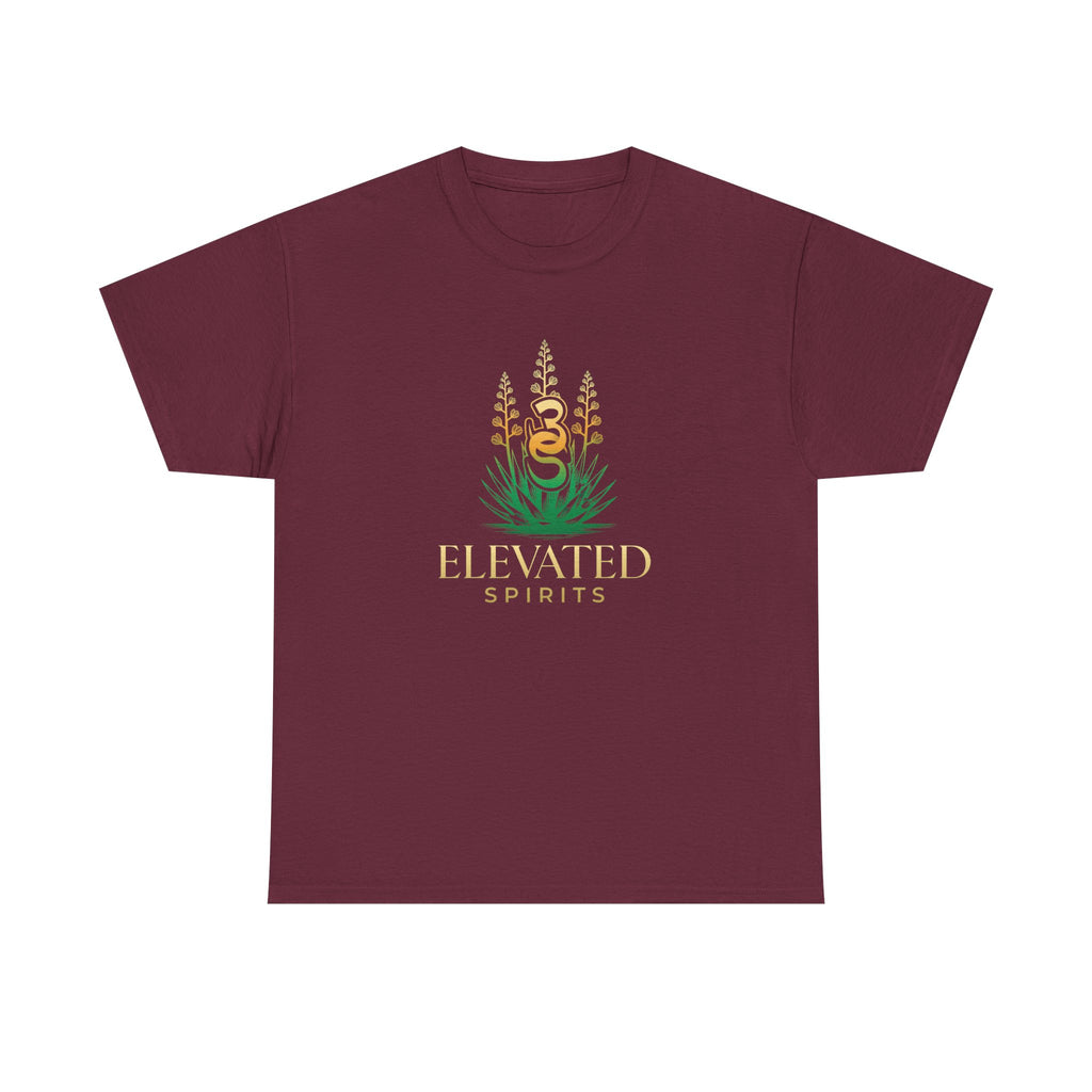 Empowering Elevated Spirits T-Shirt, Do it Lady