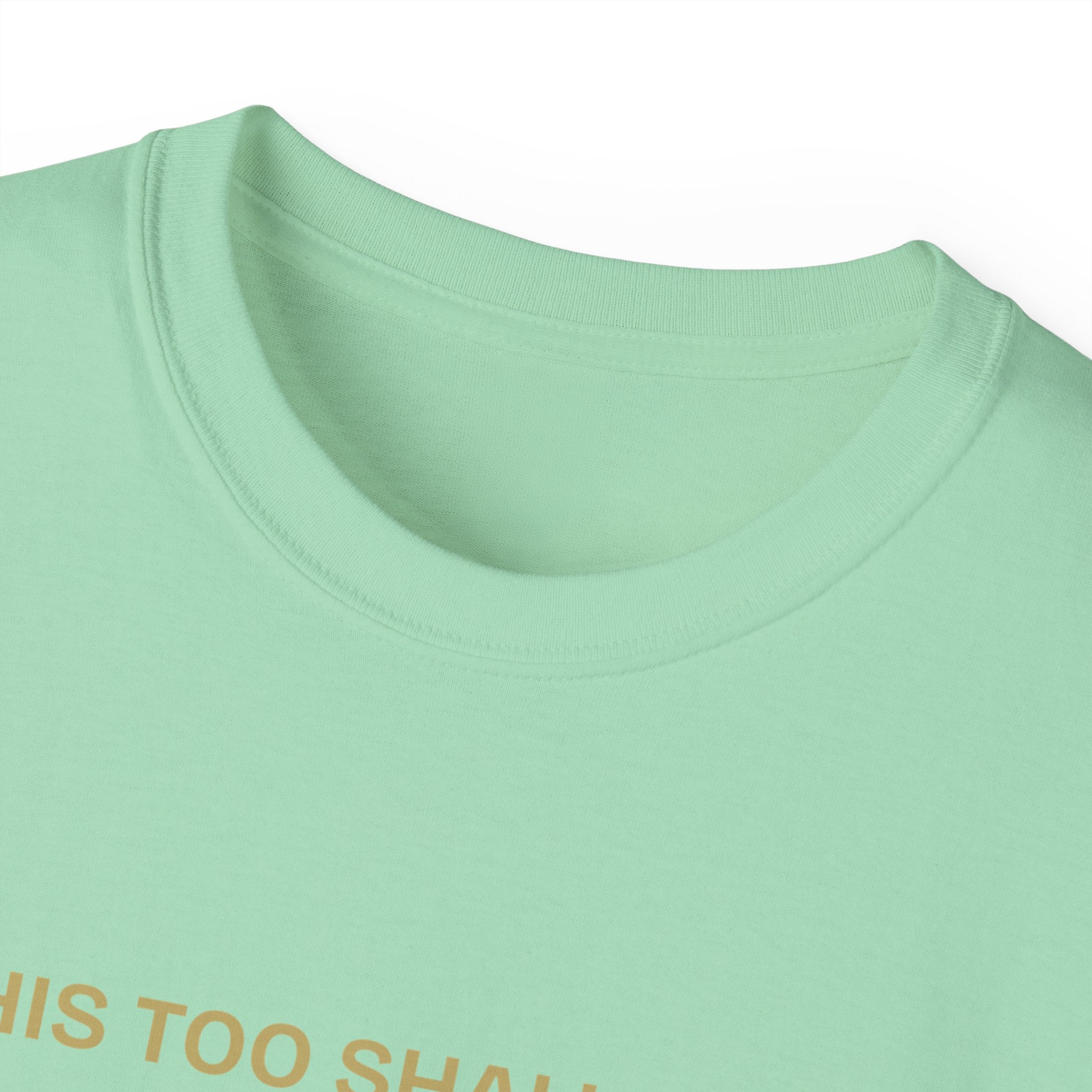 Humorous Quote Tee, Casual Unisex T-Shirt "This too shall pass"