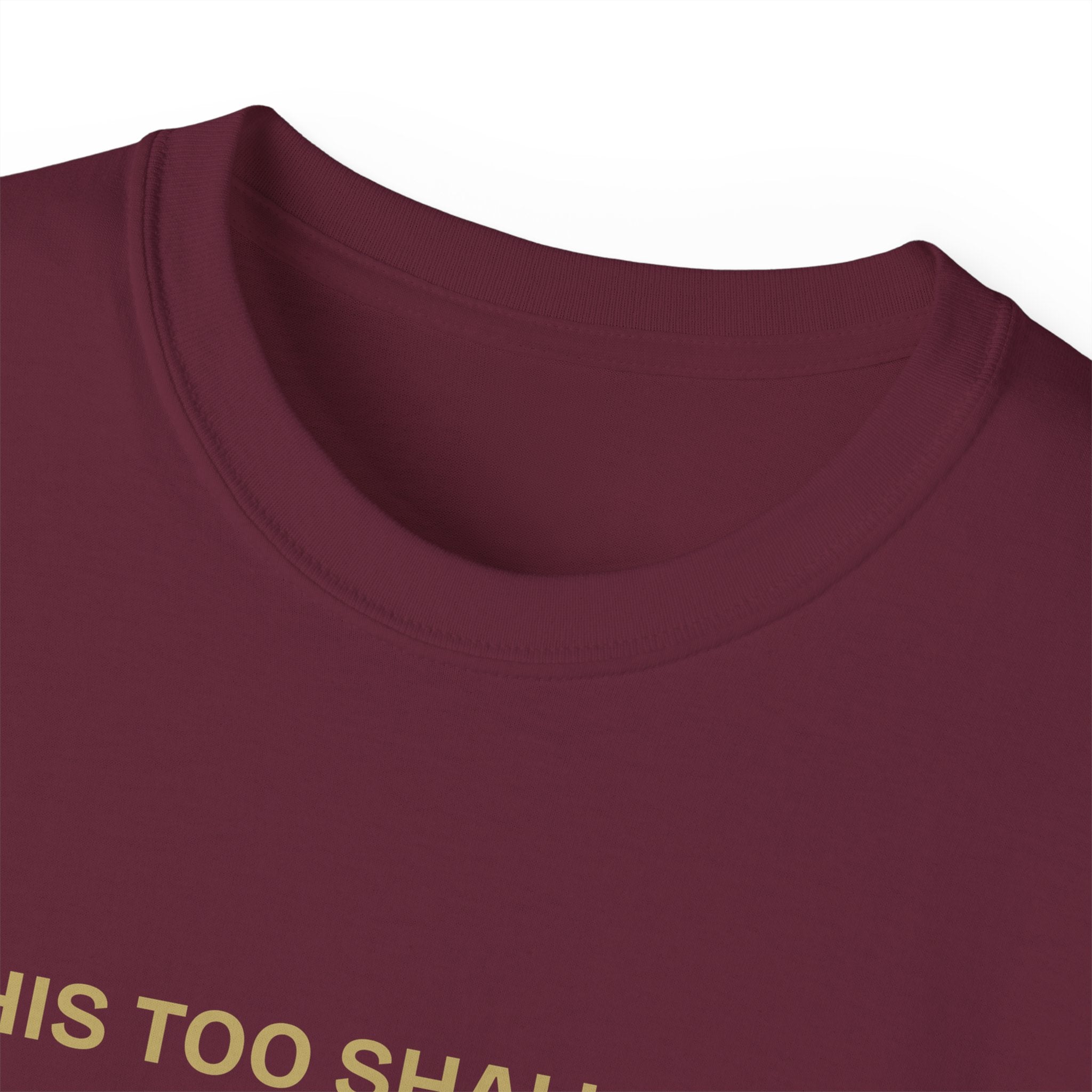 Humorous Quote Tee, Casual Unisex T-Shirt "This too shall pass"