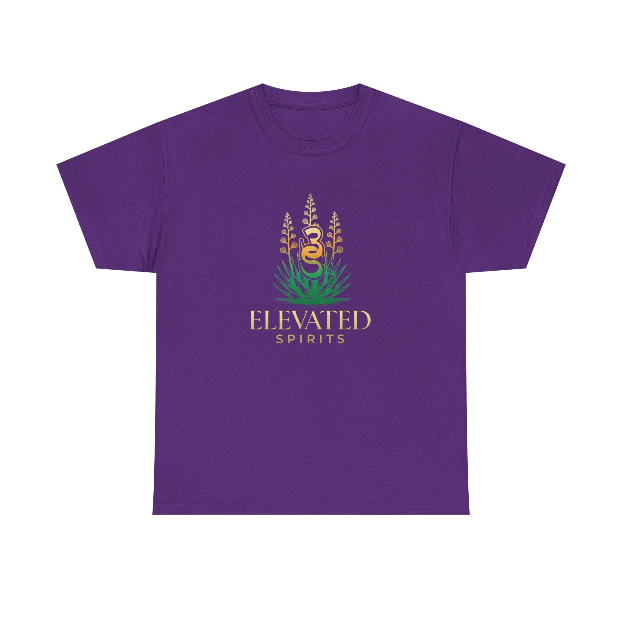 Empowering Elevated Spirits T-Shirt, Do it Lady