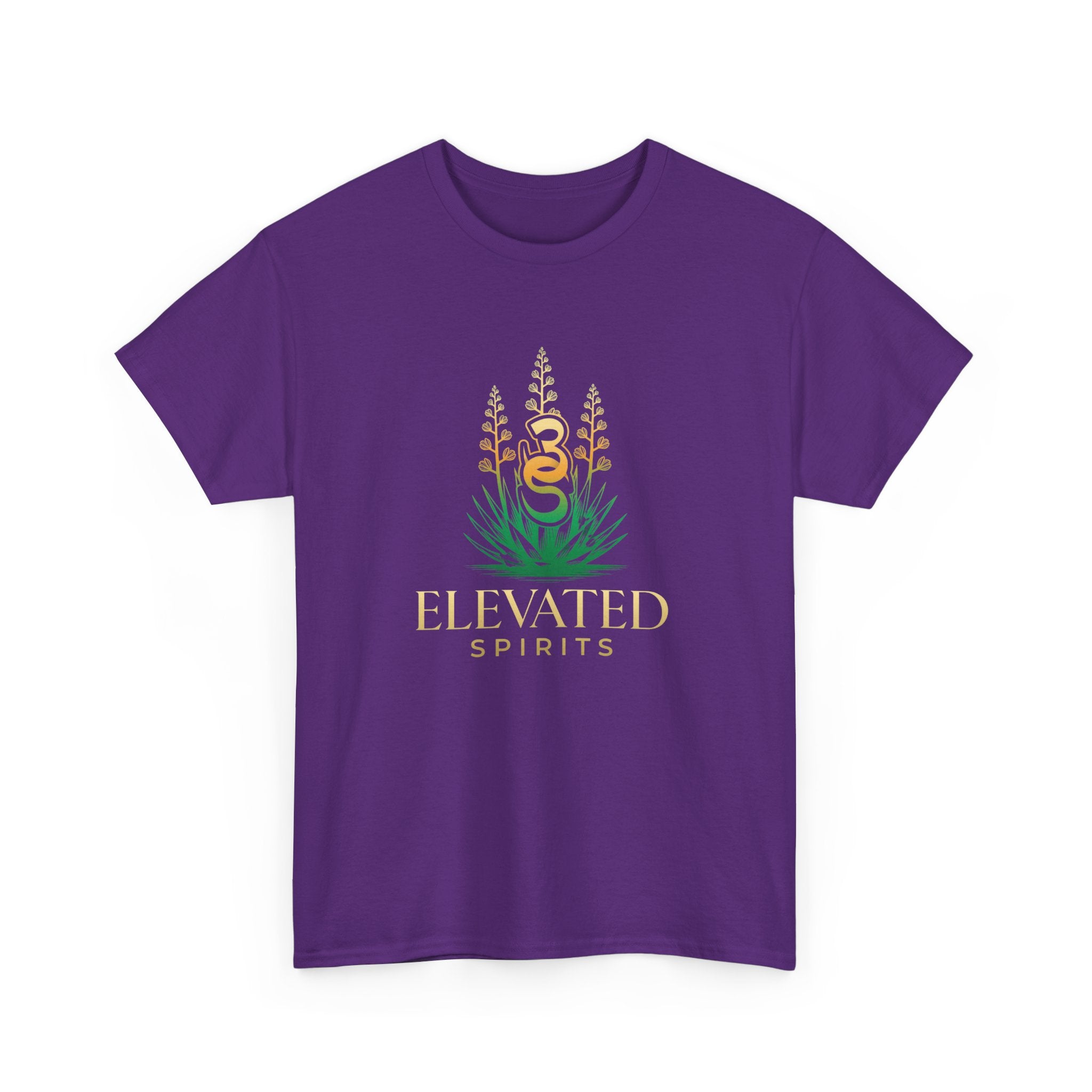 Empowering Elevated Spirits T-Shirt, Do it Lady
